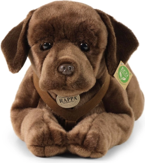 ECO‑FRIENDLY vulling van PET‑flessen