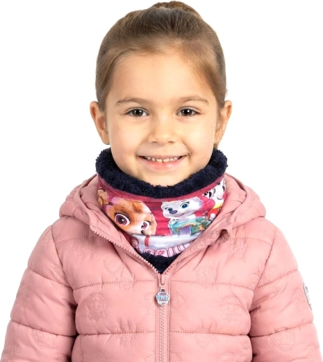 Geliefde heldinnen van Paw Patrol