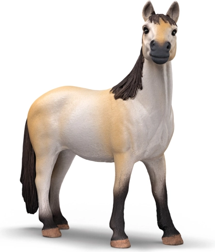 Prachtige mustangmerrie