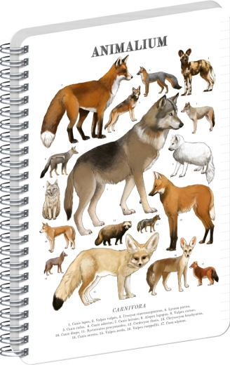 Notique spiraalblok Animalium – Hondachtigen, gelinieerd, A5