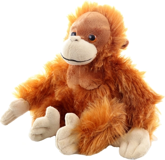 Schattige details en hoogwaardige afwerking