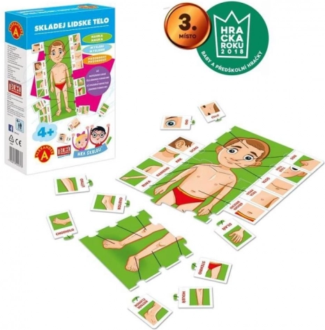 Alexander Spel School - Stel het menselijk lichaam samen