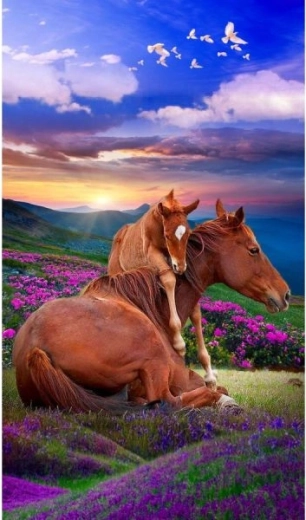 Diamantborduren (diamond painting) twee paarden – bergen 30 × 40 cm - 1 stuk