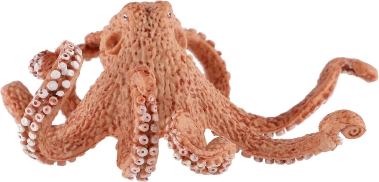 Voor spelen en het ontdekken van oceanen