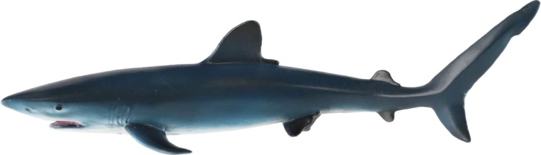Typische kleur van de blauwe haai