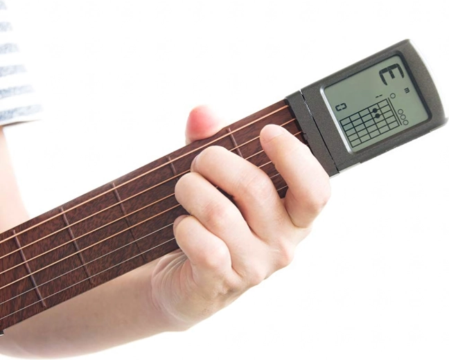 Echt fretboard met stalen snaren