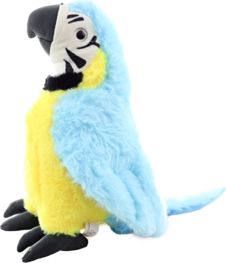 Veilig vanaf de geboorte