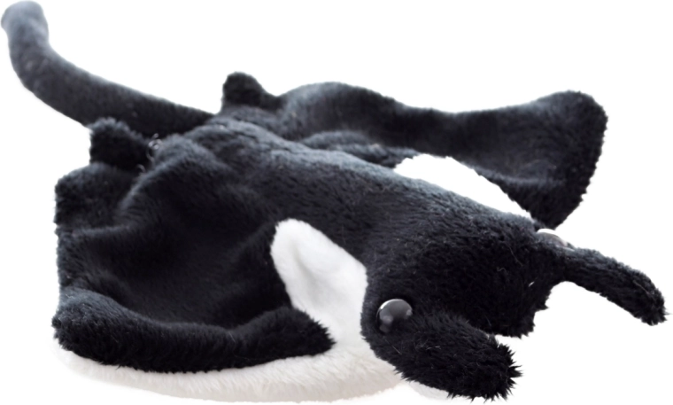 Realistische vorm van de manta