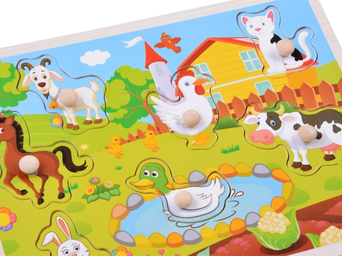 Kleurrijke illustraties en leuk leren door te spelen