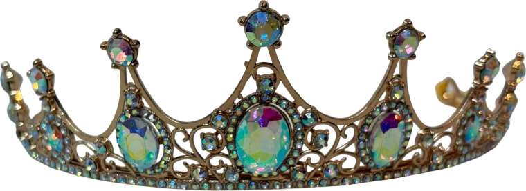 ROZE Hoofdband Enchanted Tiara