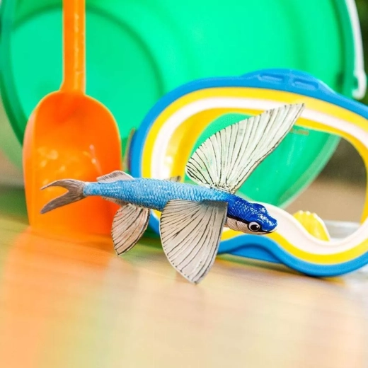 Leren door te spelen thuis en op school