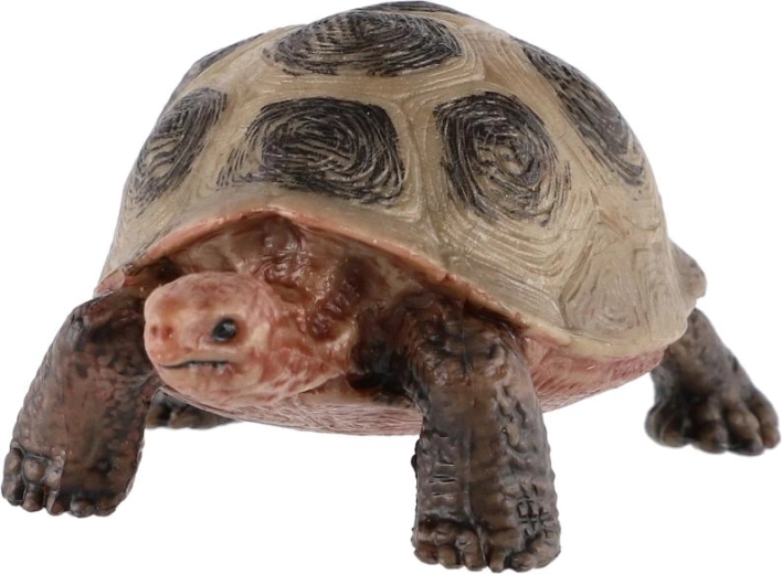 Voor spel en kennismaking met de natuur