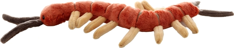 Ideaal formaat voor thuis en onderweg