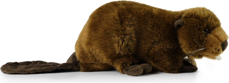 Veilig en geschikt vanaf de geboorte