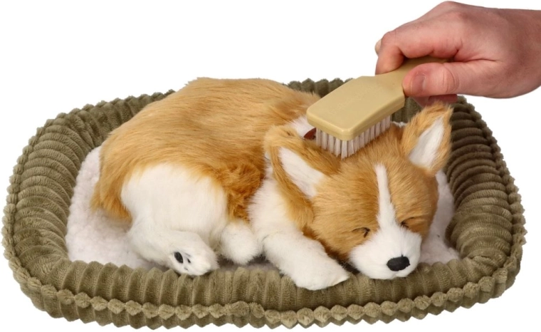 Verzorging als een echt hondje