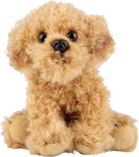 Pluchen Labradoodle hond