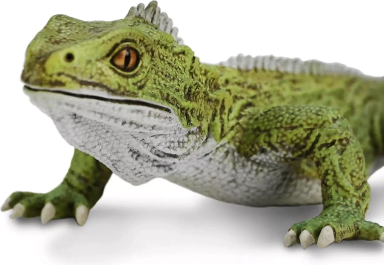 Getrouwe afwerking van de tuatara tot in het laatste detail