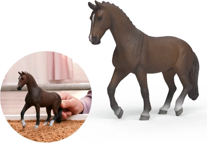 Paardenfiguur – KWPN-ruin SLH