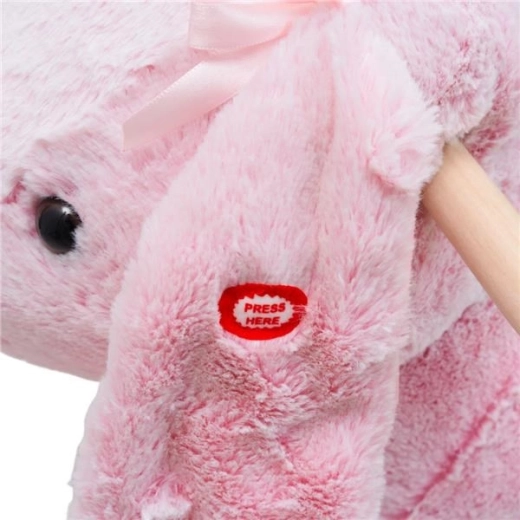 Muziekknop voor nog meer plezier