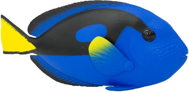 Realistische kleuren en details van de doktersvis