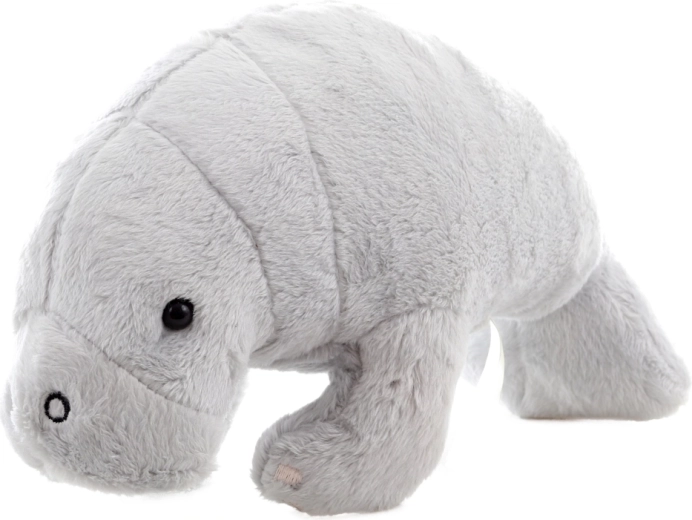 Veilig voor de allerkleinsten (0+)