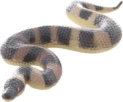 Compacte afmetingen voor kleine ontdekkers