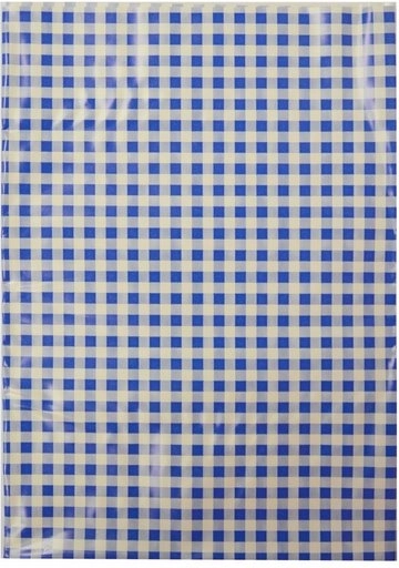 Tafelkleed voor beeldende vorming blauw-witte ruitjes 65 × 50 cm