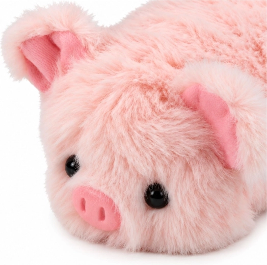 Schattig varkensuiterlijk