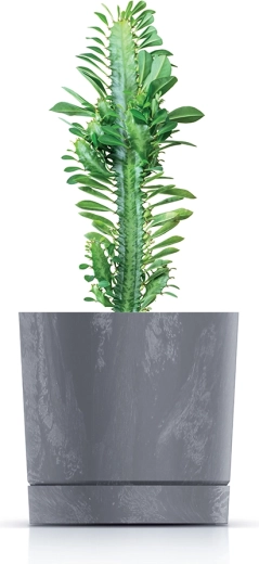 Ideaal voor vetplanten, kruiden en kleinere planten