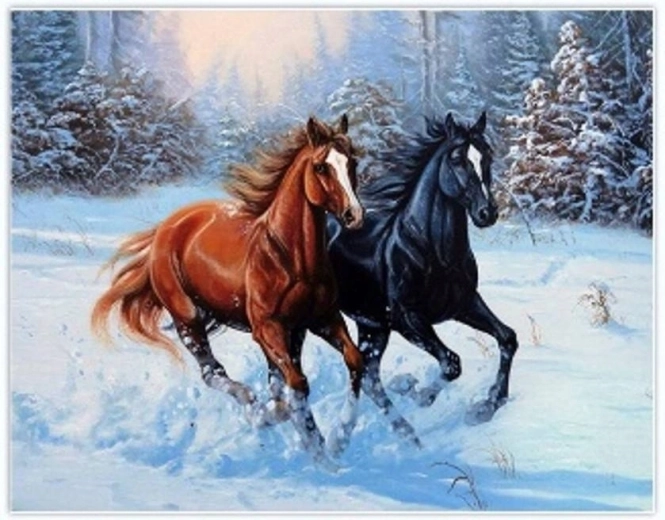 Norimpex diamant schilderen Rennende paarden in de sneeuw 30 × 40 cm