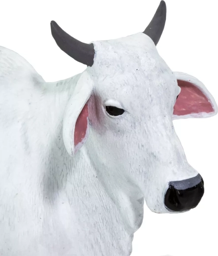 Realistische details om dieren te leren kennen