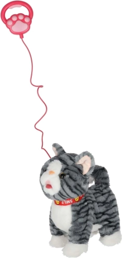 Lopen en leuke melodietjes met één druk op de knop