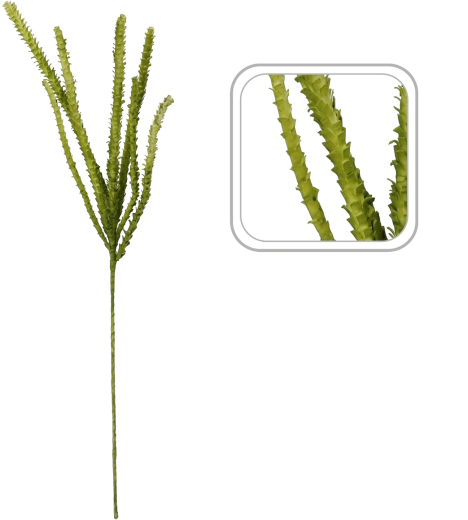 Gedetailleerde blaadjes voor een natuurgetrouwere decoratie