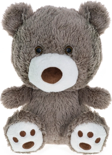 Pluchen teddybeer 35 cm voor baby’s en kinderen