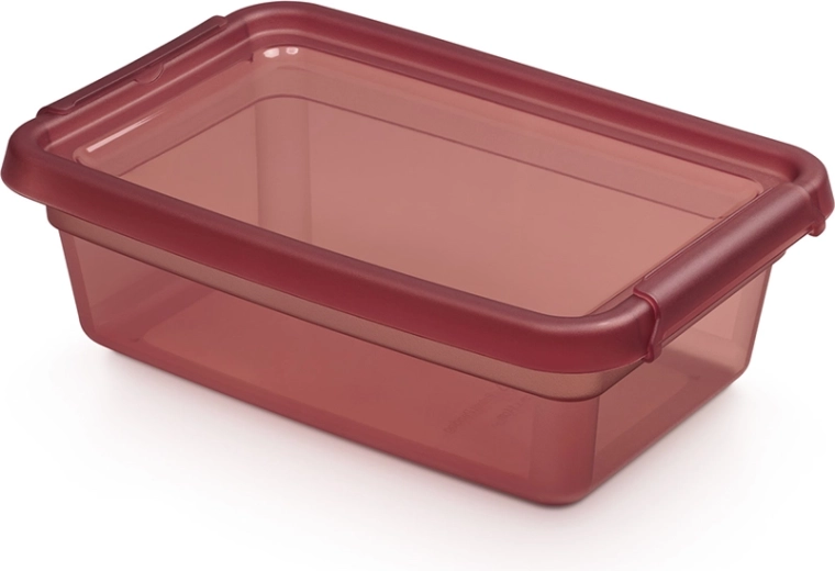 Basestore opbergbox met deksel en clips 3 l, 19 × 28 × 9 cm, rhubarb