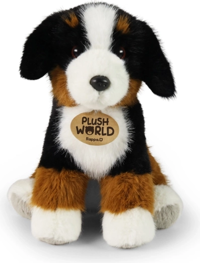 Getrouwe uitvoering van de Berner Sennenhond