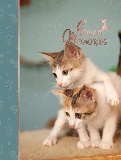 Fotoalbum CONCORDE DXP 4696 voor 96 foto’s 10 × 15 cm