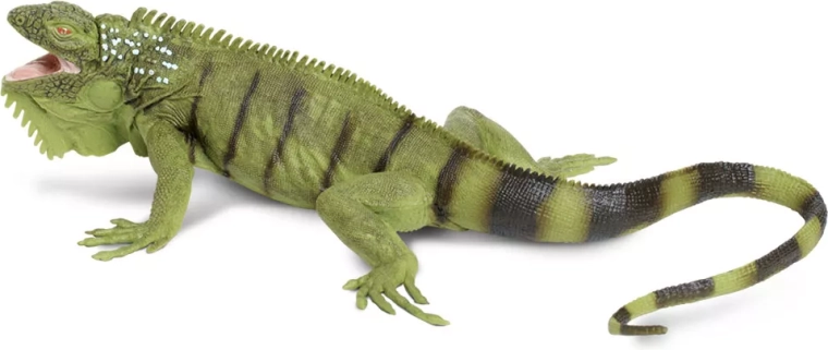 Safari Ltd. groene leguaan