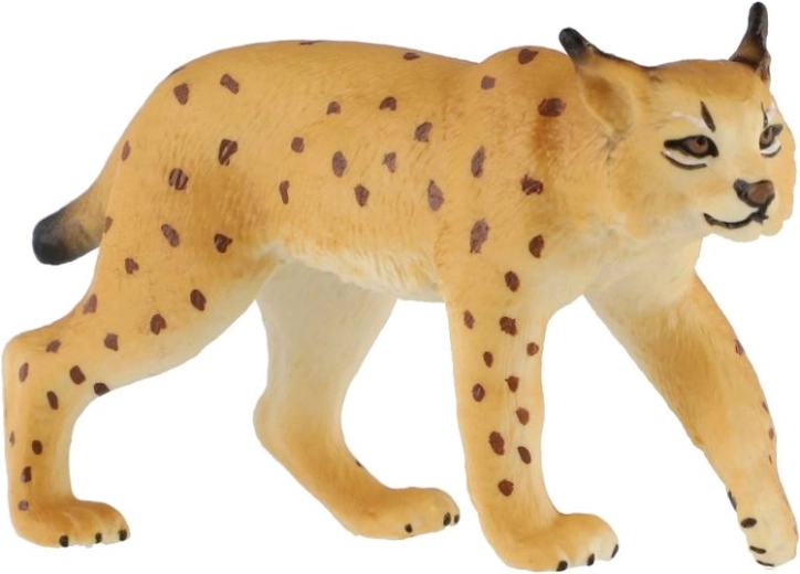 Kenmerkende eigenschappen van de lynx