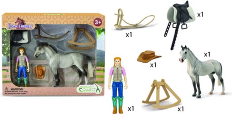 Ruiter met paard en accessoires
