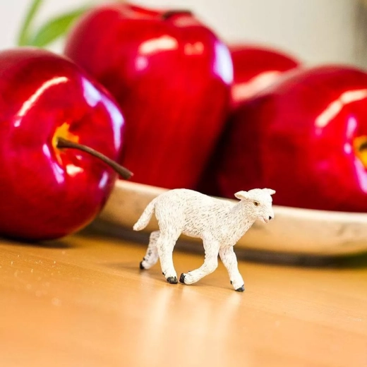 Spel dat leren over de natuur ondersteunt