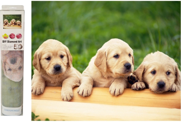 Diamantmozaïek Hondjes labradors - 1 stuk