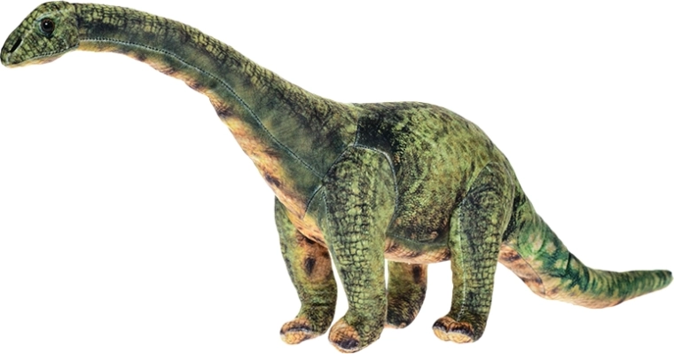 Pluche diplodocus 60 cm – staande knuffel voor kinderen vanaf de geboorte