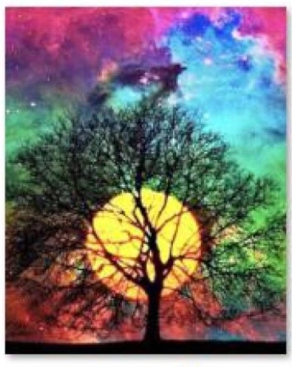 Diamantmozaïek (diamond painting) Drzewo – nachtelijke hemel 30 × 40 cm