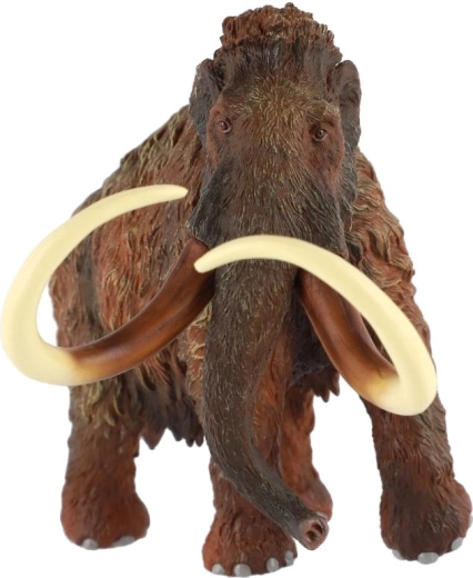 Duurzame plastic constructie