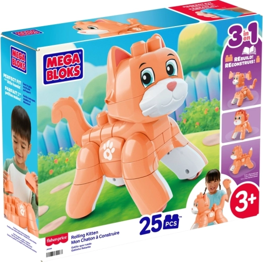 3 in 1: kitten, vosje of leeuwenwelp