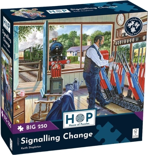 250 extra grote puzzelstukjes
