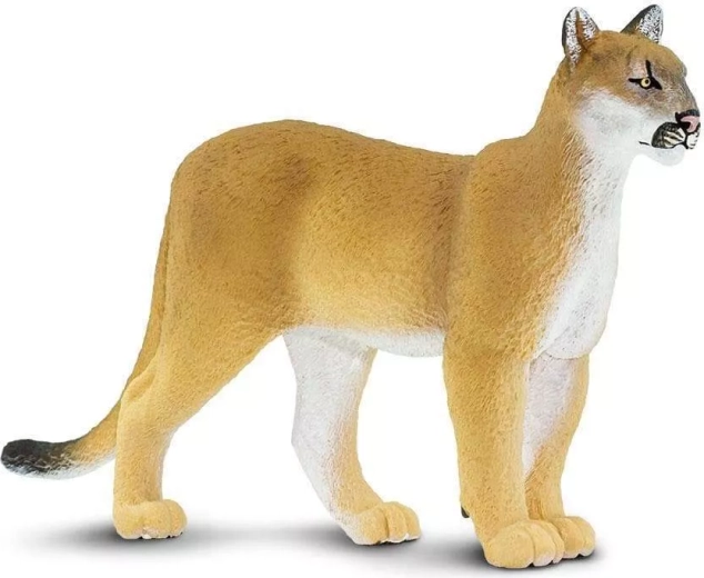 Florida-puma-figuur Safari Ltd. - 1 stuk