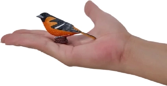 Met de hand beschilderde veren