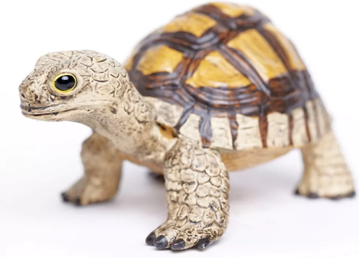 Leren door te spelen met Safari Ltd.